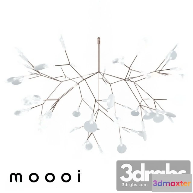 987942 - Heracleum II