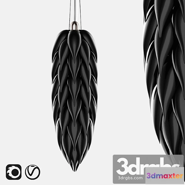 988236 - Jeremy cole aloe shoot