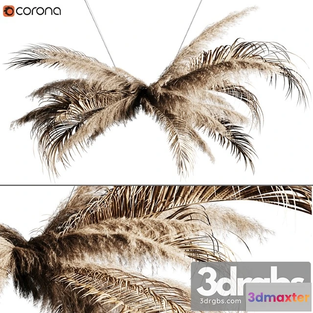 990378 - Pampas grass chandelier 02