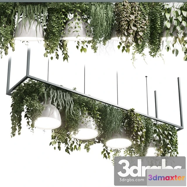 990944 - Pot Light Pendant Plant Light Hanging 08