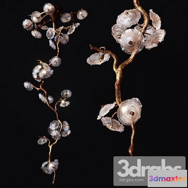 991528 - Serip Nenufar CT3384 35