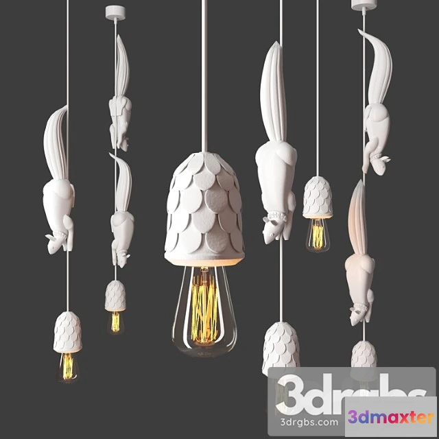 991562 - Sherwood E Robin