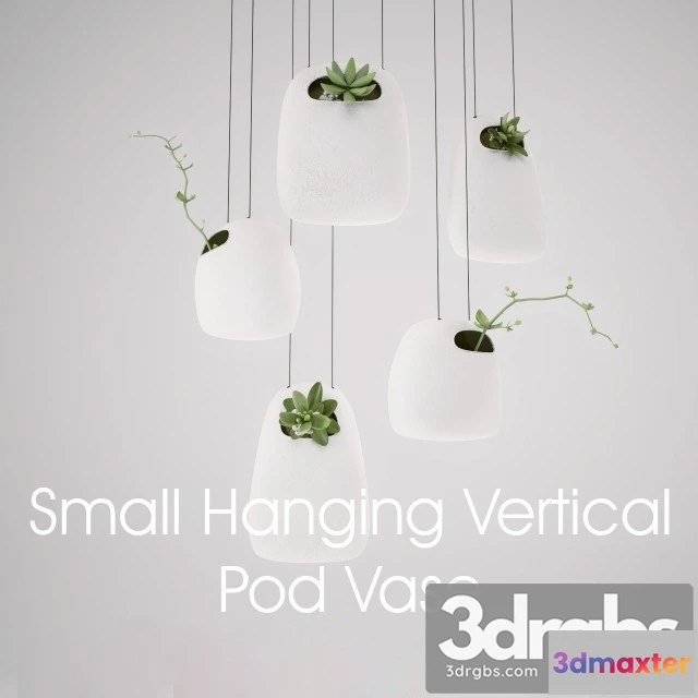 991628 - Small Hanging Vertical Pod Vase