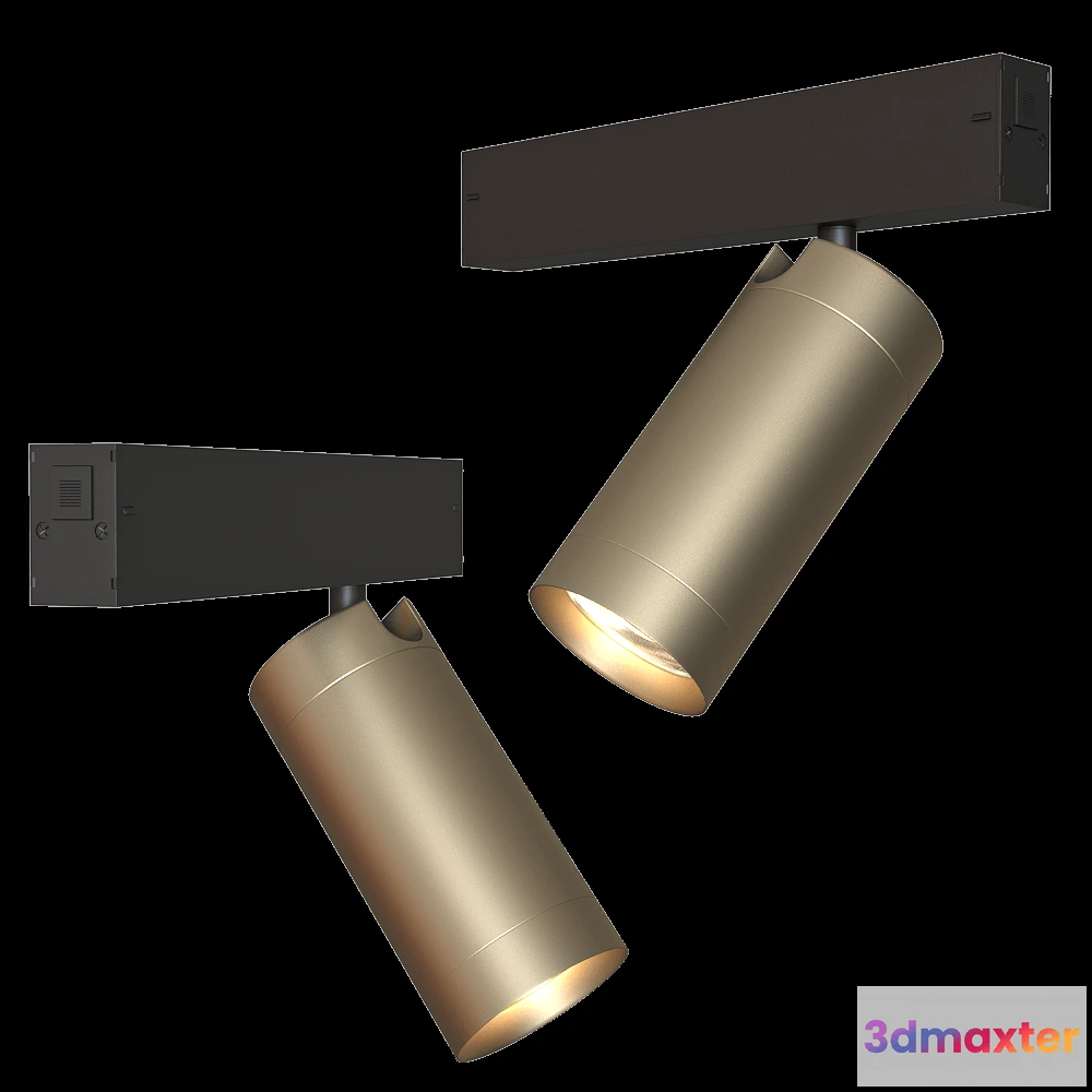 1657732 - DENKIRS - Track light DK8020-BG 3D Max