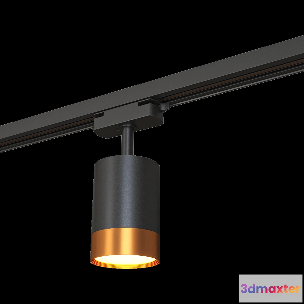 1657782 - DENKIRS - Track light DK6405-BG 3D Max