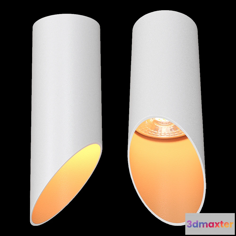 1657948 - DENKIRS - Spot overhead lamp DK2011-WH 3D Max