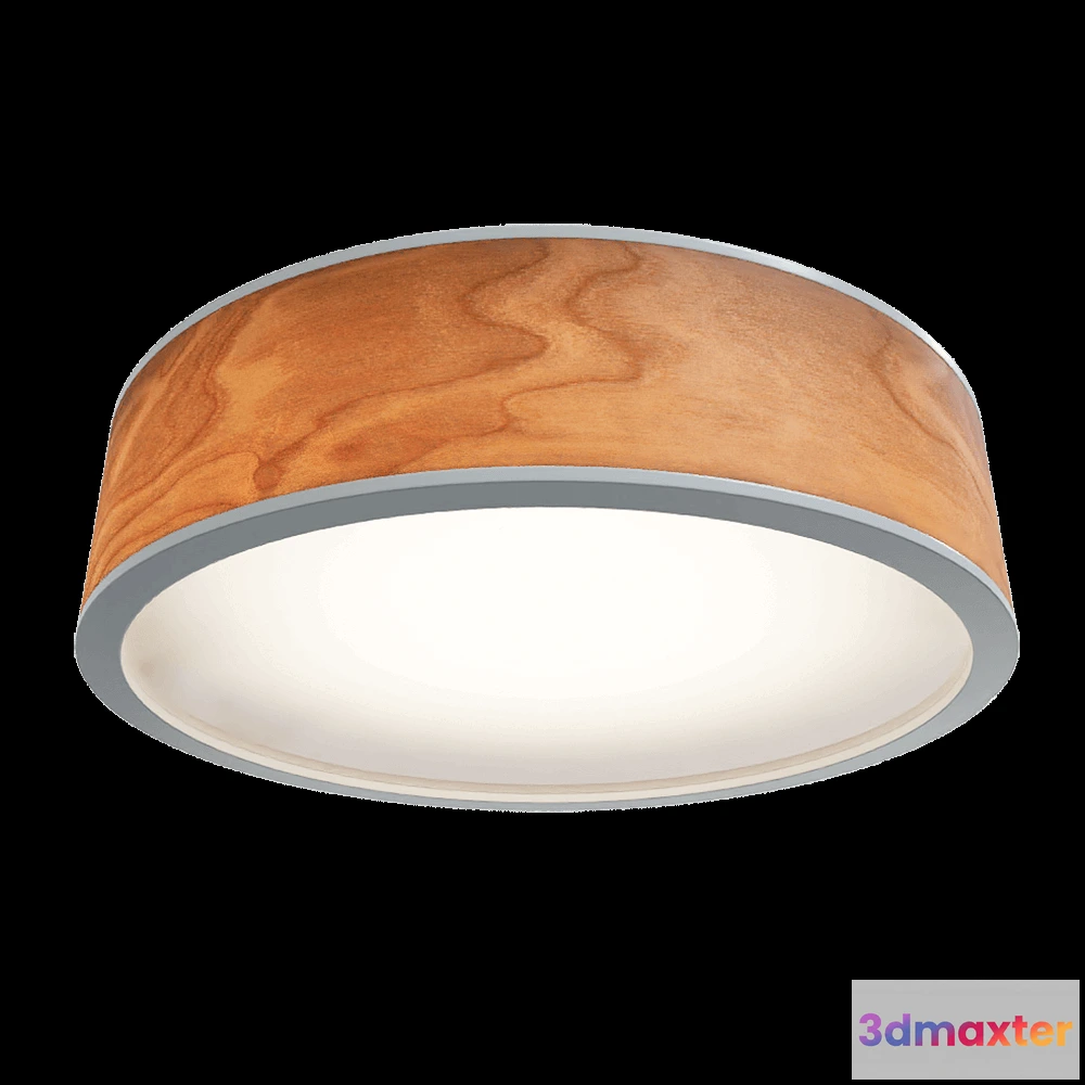 1658740 - Savlukov Mebel - Spot lamp Galactic Jupiter 1 3D Max