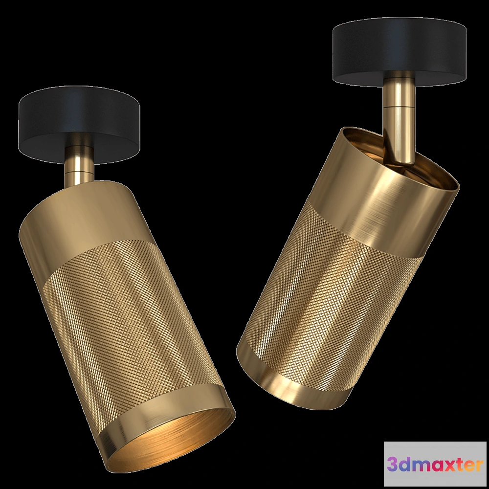 1658776 - Thorup Copenhagen - Ceiling Spot Light Patrone Canopy 3D Max