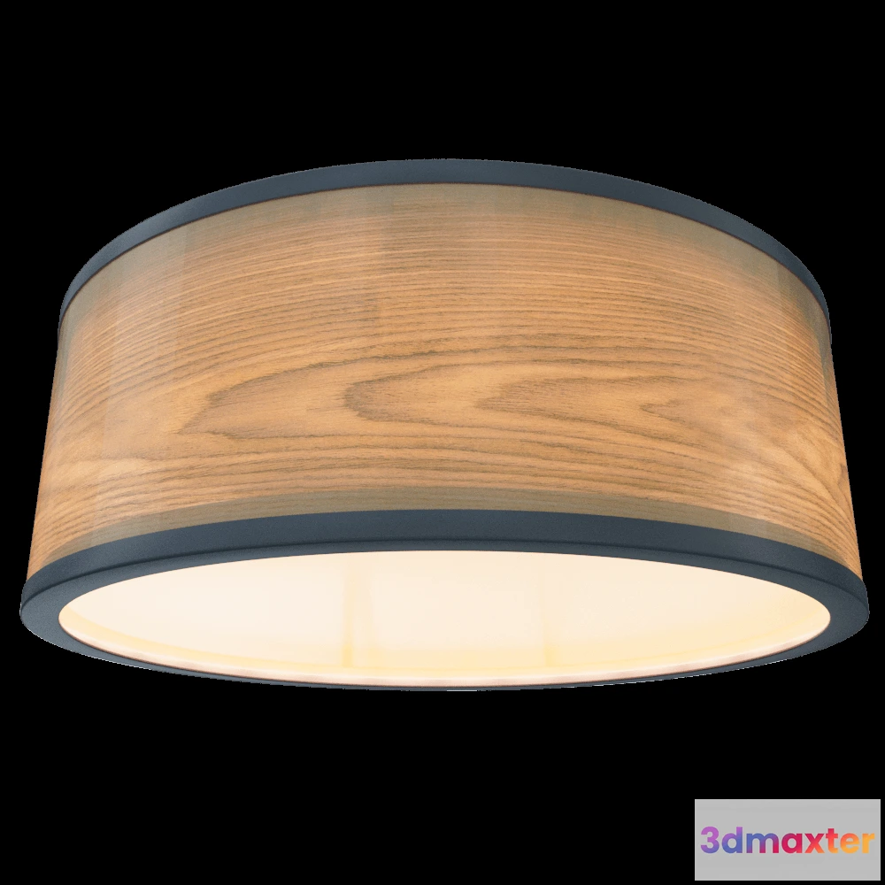 1658944 - Woodled - Spot lamp Galactic Jupiter 2 3D Max