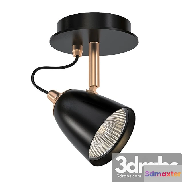 992938 - Copper Spot 1