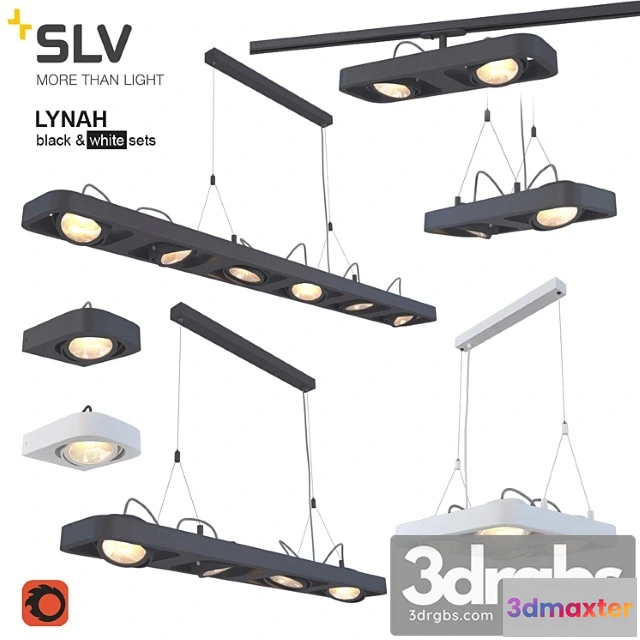 993344 - Slv lynah