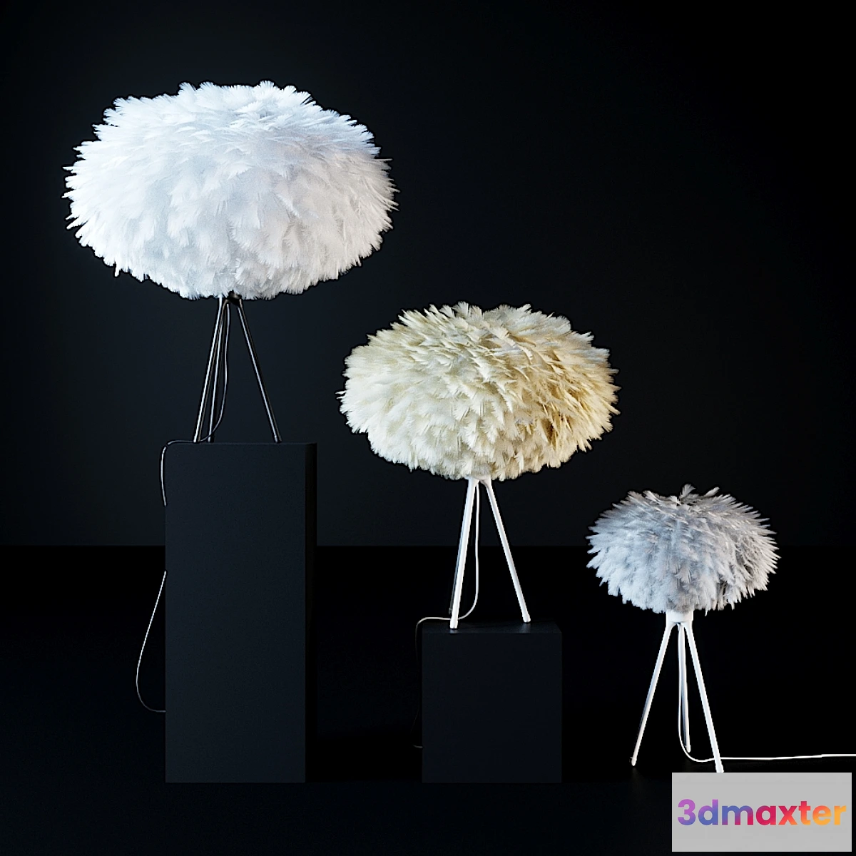 1321012 - Plumage 31 3D Max