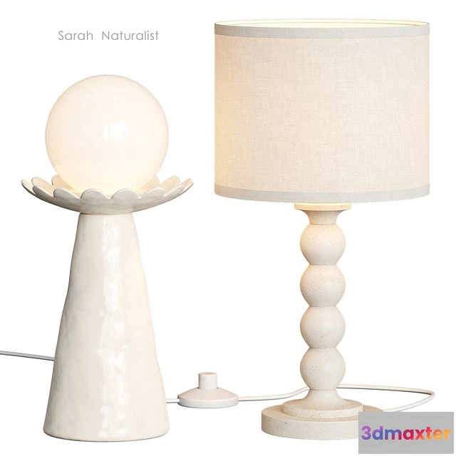 1556455 - Naturalist Sarah West Elm Table Lamp 3D Max