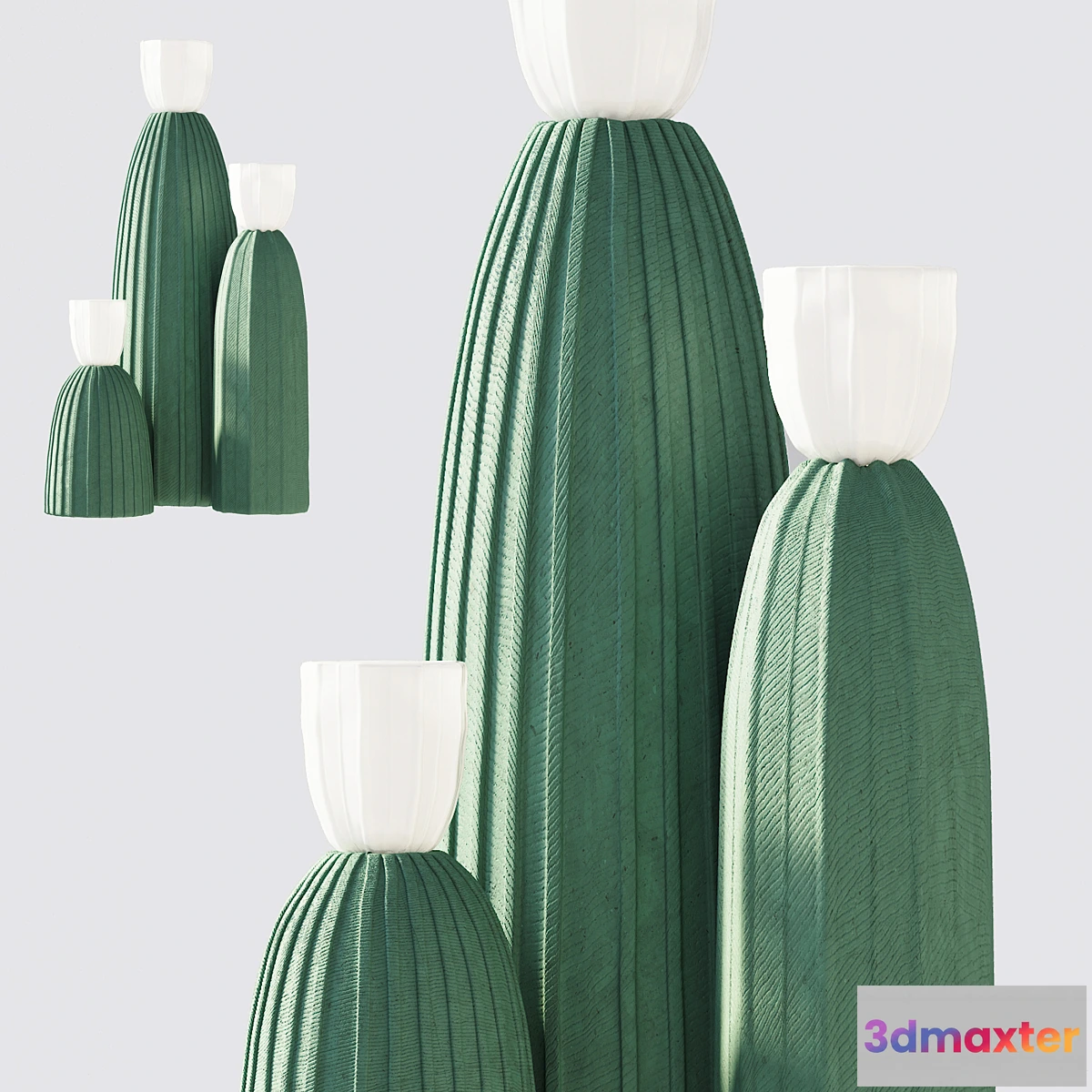 592580 - Cactus light