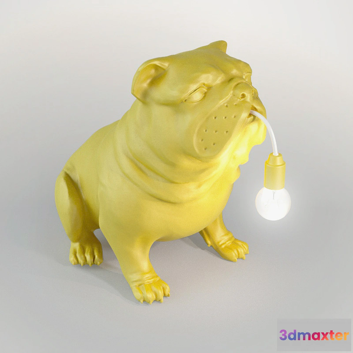 646497 - Light dog