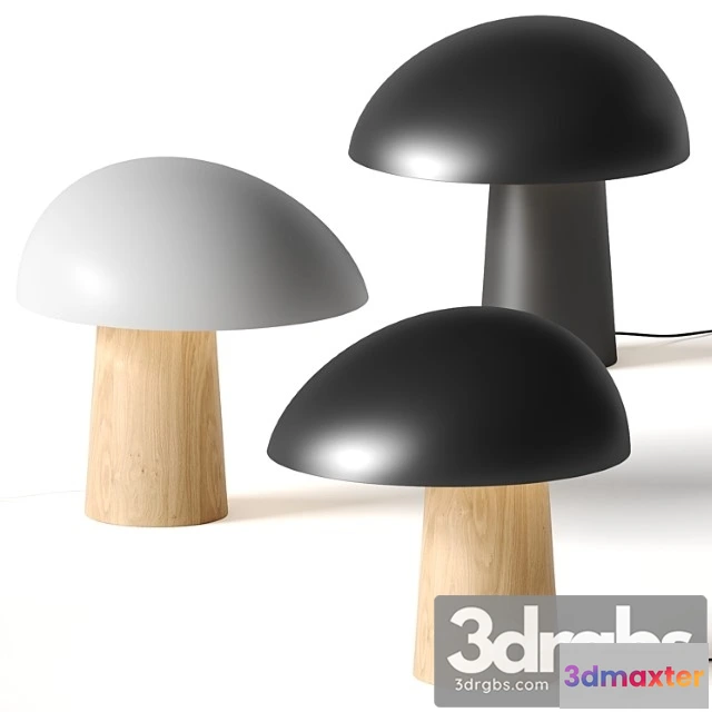 994396 - Lodamer Beak