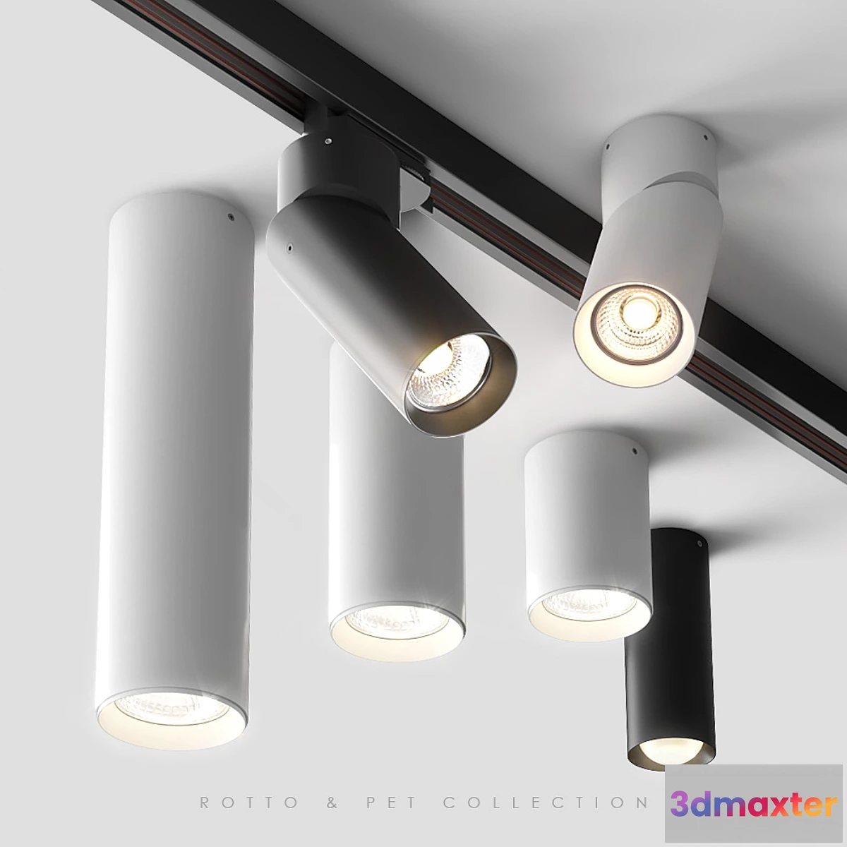 568408 - AQForm Rotto & Pet Collection