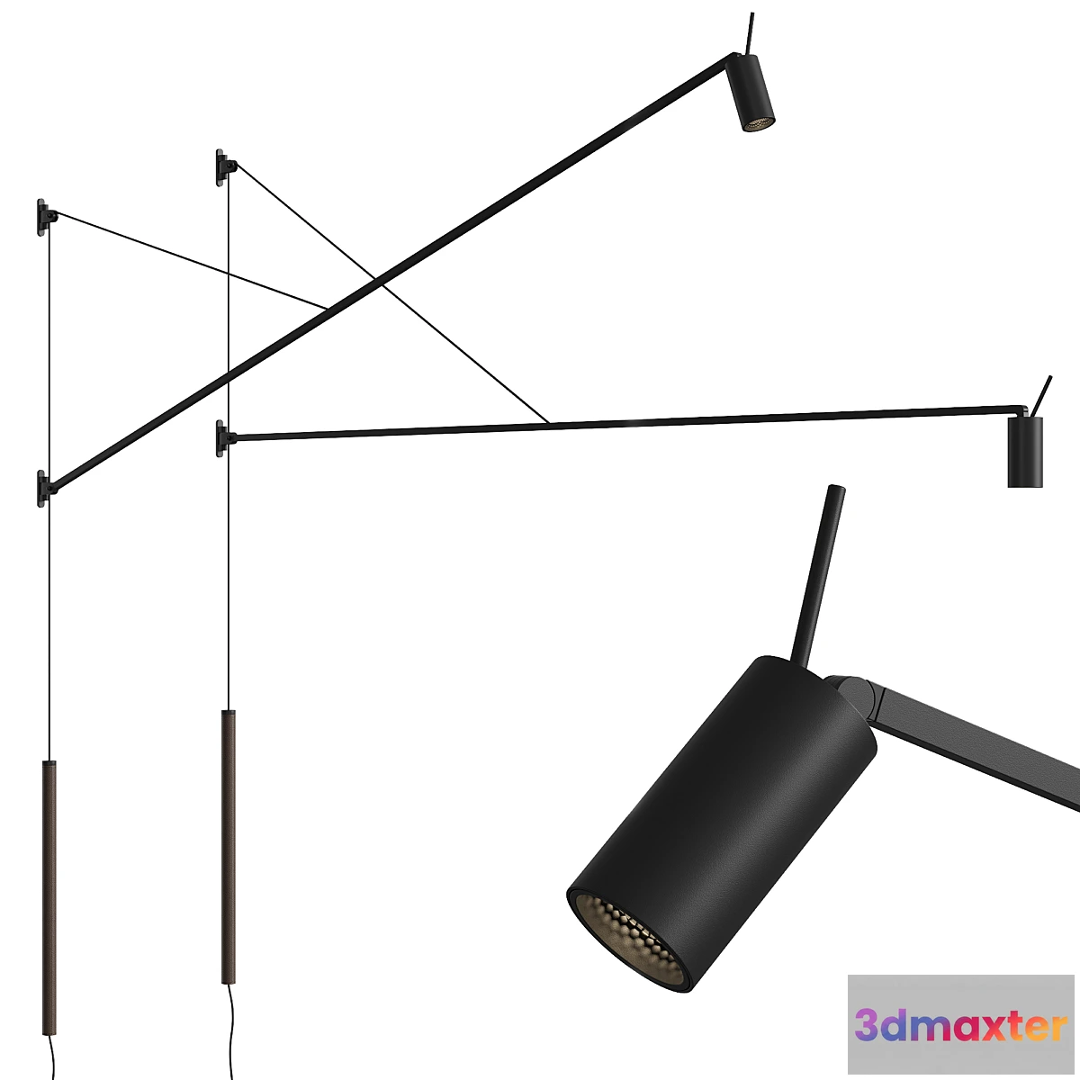 1402266 - Nemo Swan 3D Max