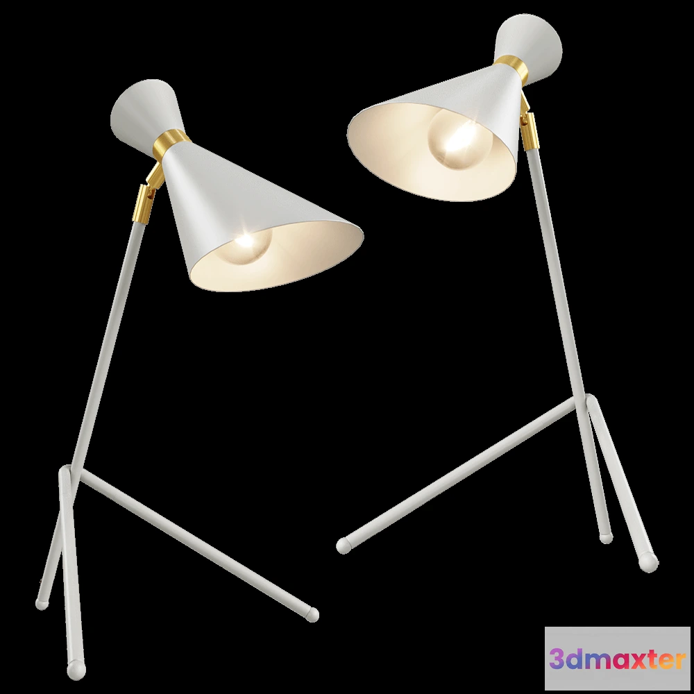 1663760 - Zuiver Group   - Table lamp Shady grey 3D Max