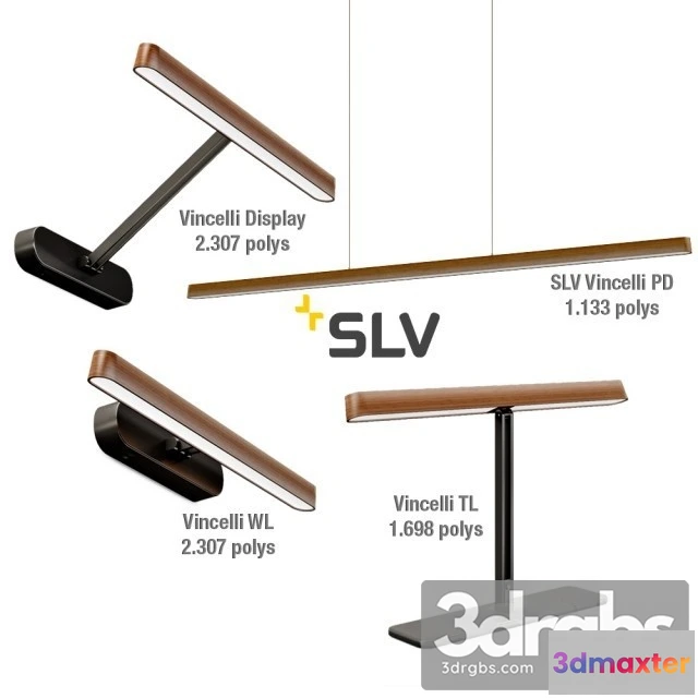 997504 - SLV Vincelli