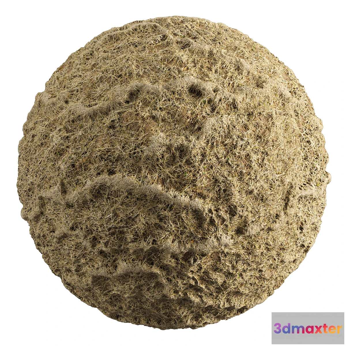 1336878 - Grass-008 3D Max