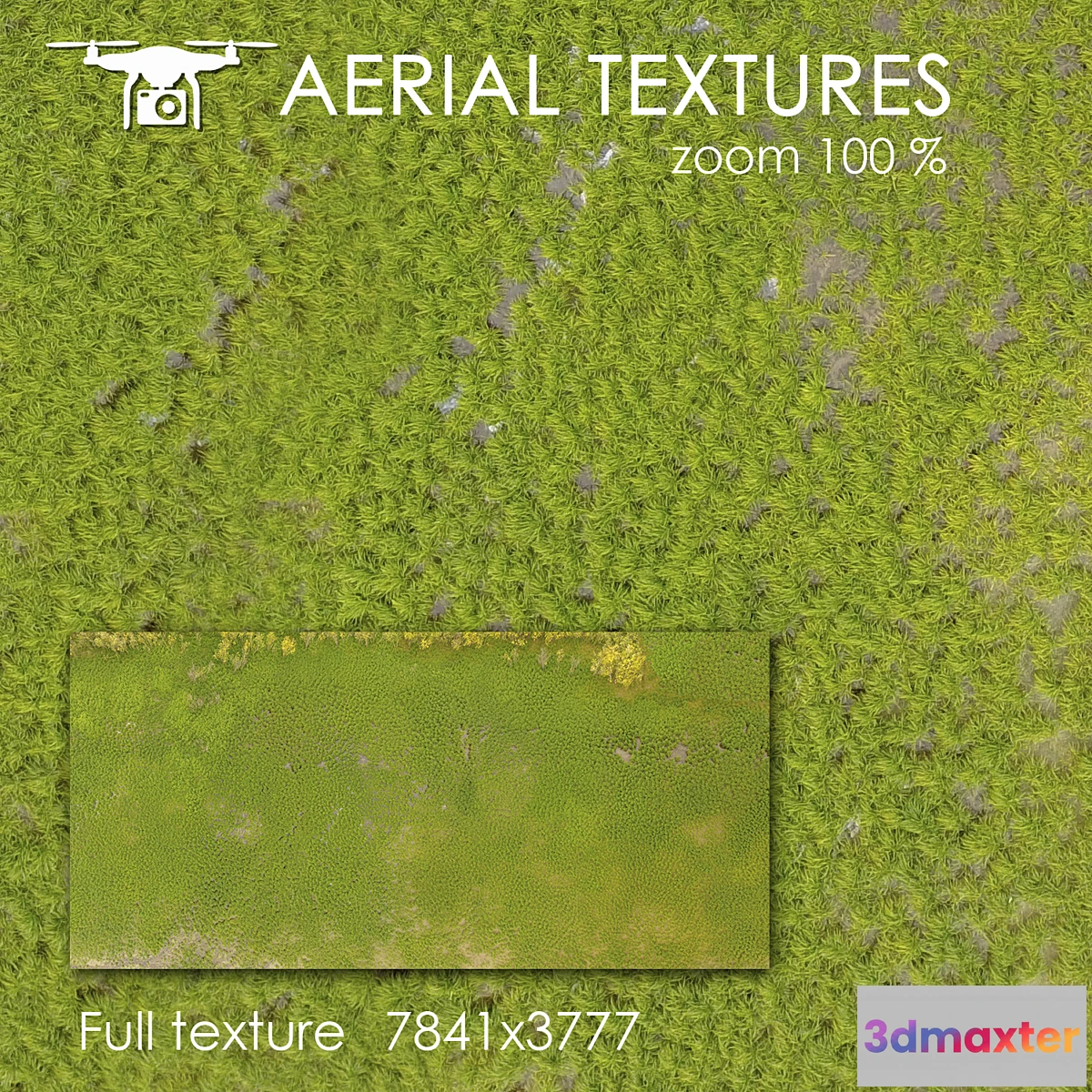 1401648 - Swamp 121 3D Max