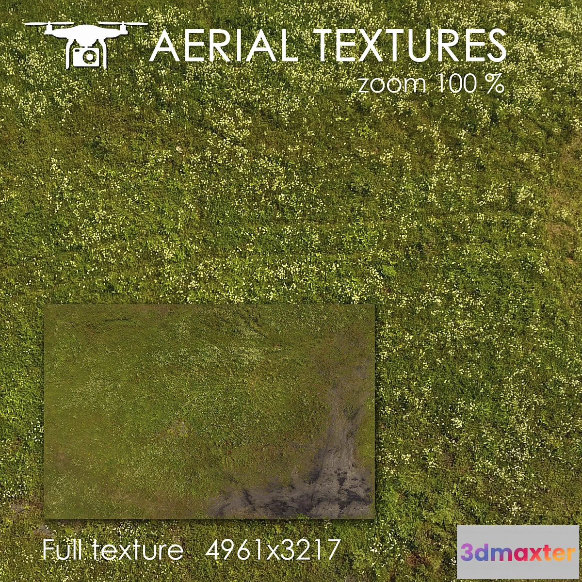 1403102 - Field 101 3D Max