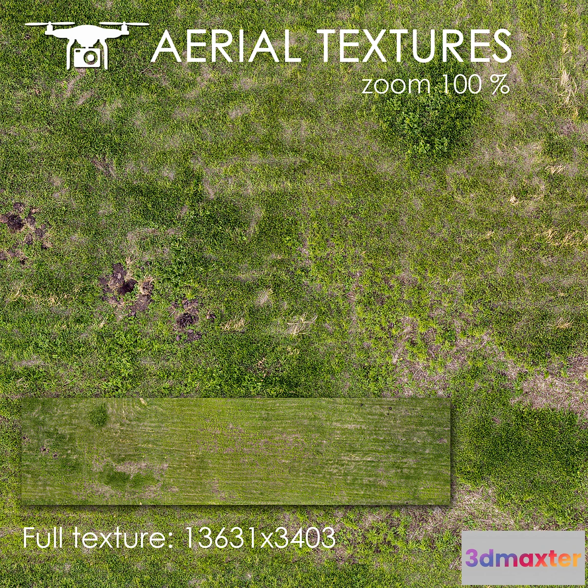 1416118 - Grass 224 3D Max