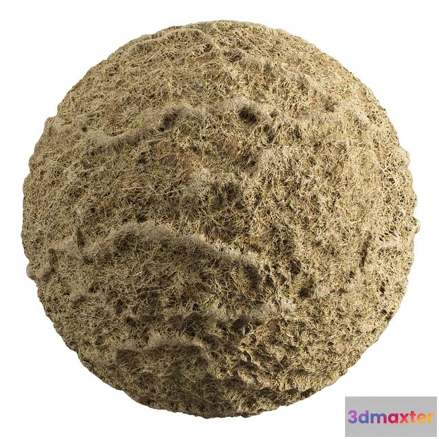 1557301 - Grass-008 3D Max