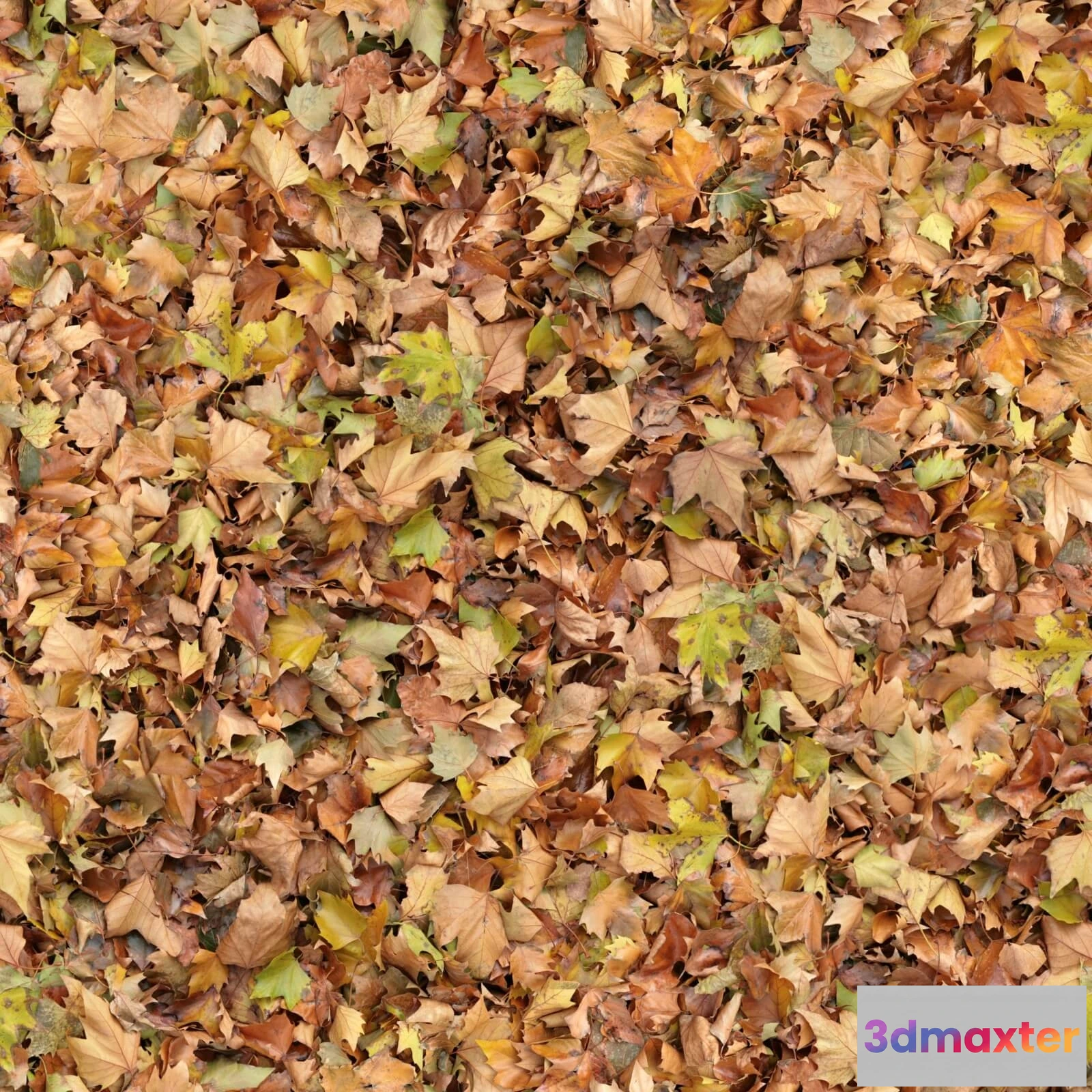 1673470 - textures - Organic 54 3D Max