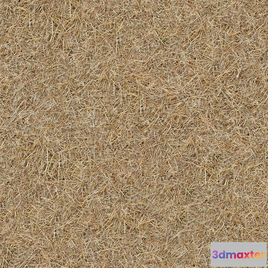 1673476 - textures - Organic 51 3D Max