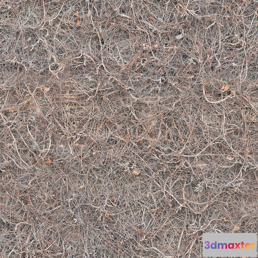 1673482 - textures - Organic 53 3D Max