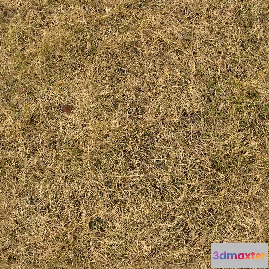 1673486 - textures - Organic 47 3D Max