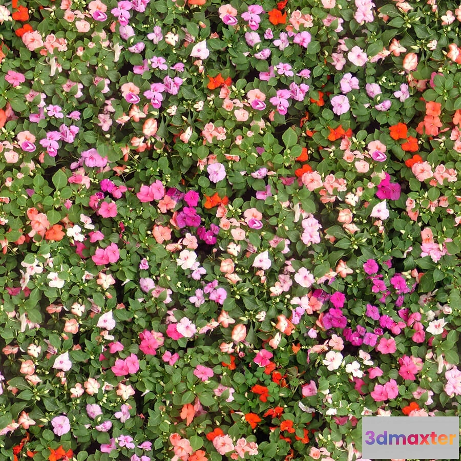 1673490 - textures - Organic 42 3D Max