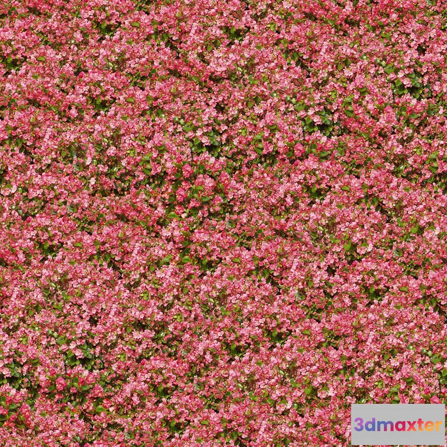 1673492 - textures - Organic 55 3D Max