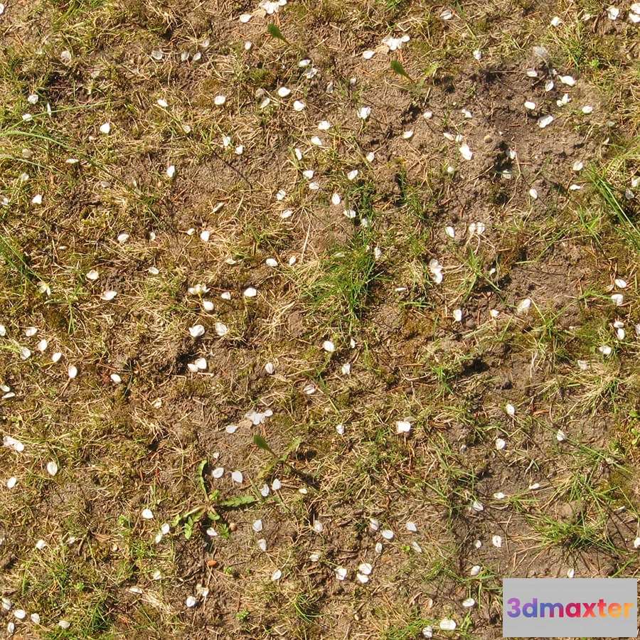 1673494 - textures - Organic 49 3D Max