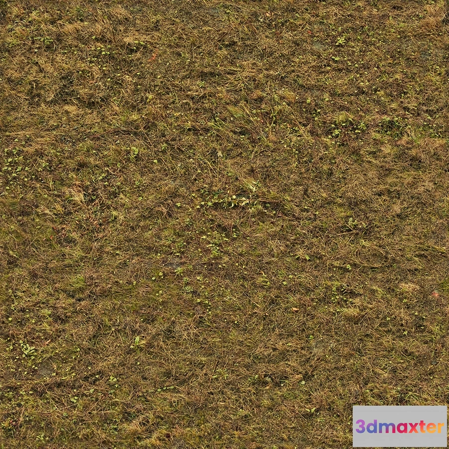 1673520 - textures - Organic 37 3D Max