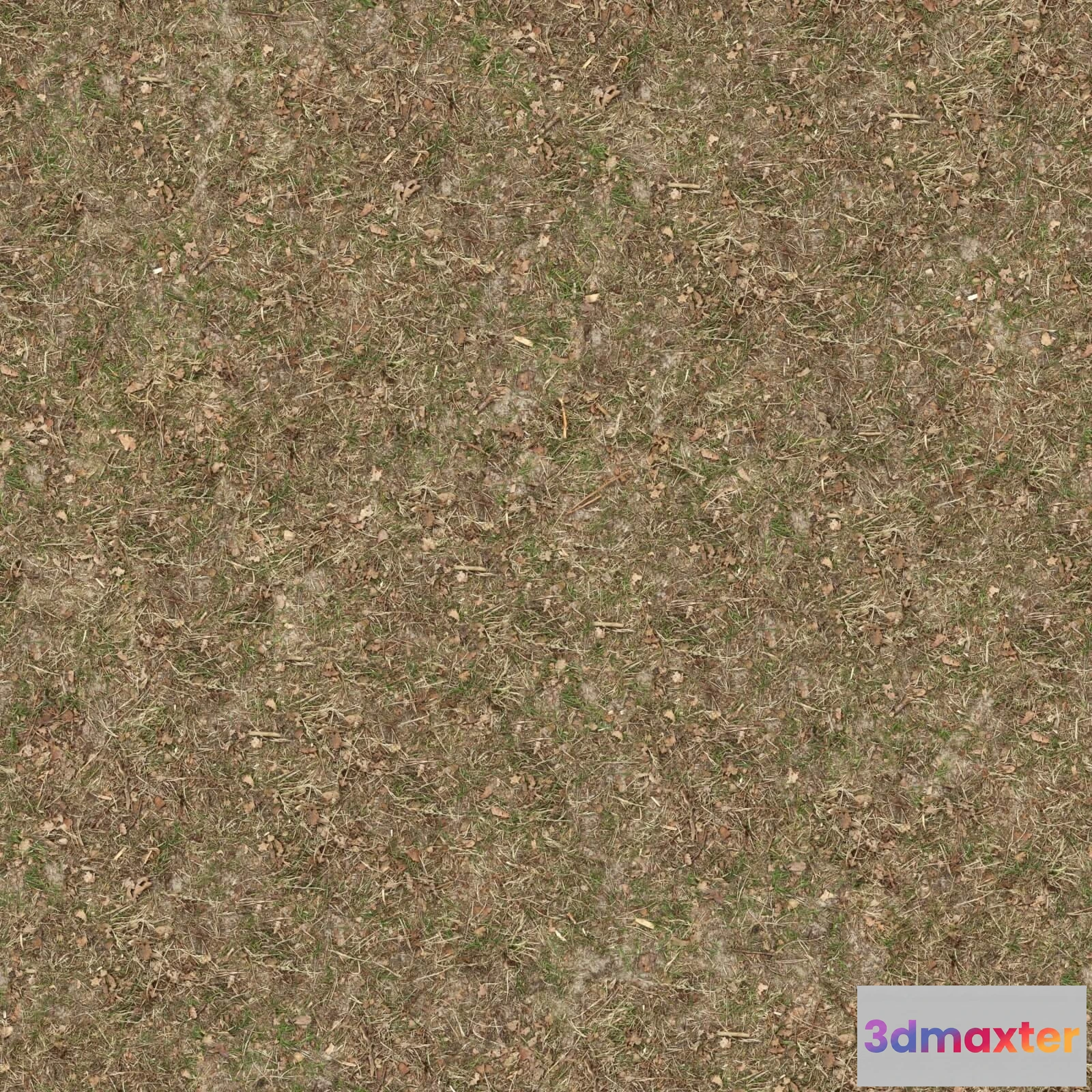 1673542 - textures - Organic 26 3D Max