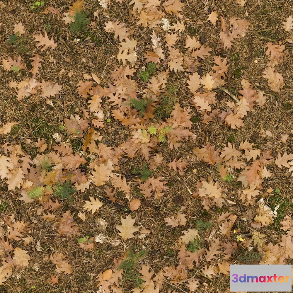 1673556 - textures - Organic 2 3D Max