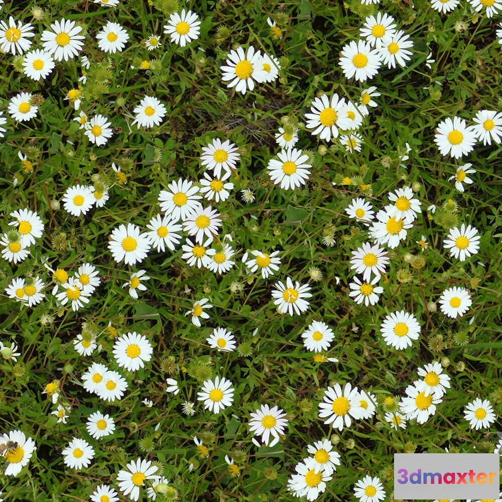 1673562 - textures - Organic 18 3D Max