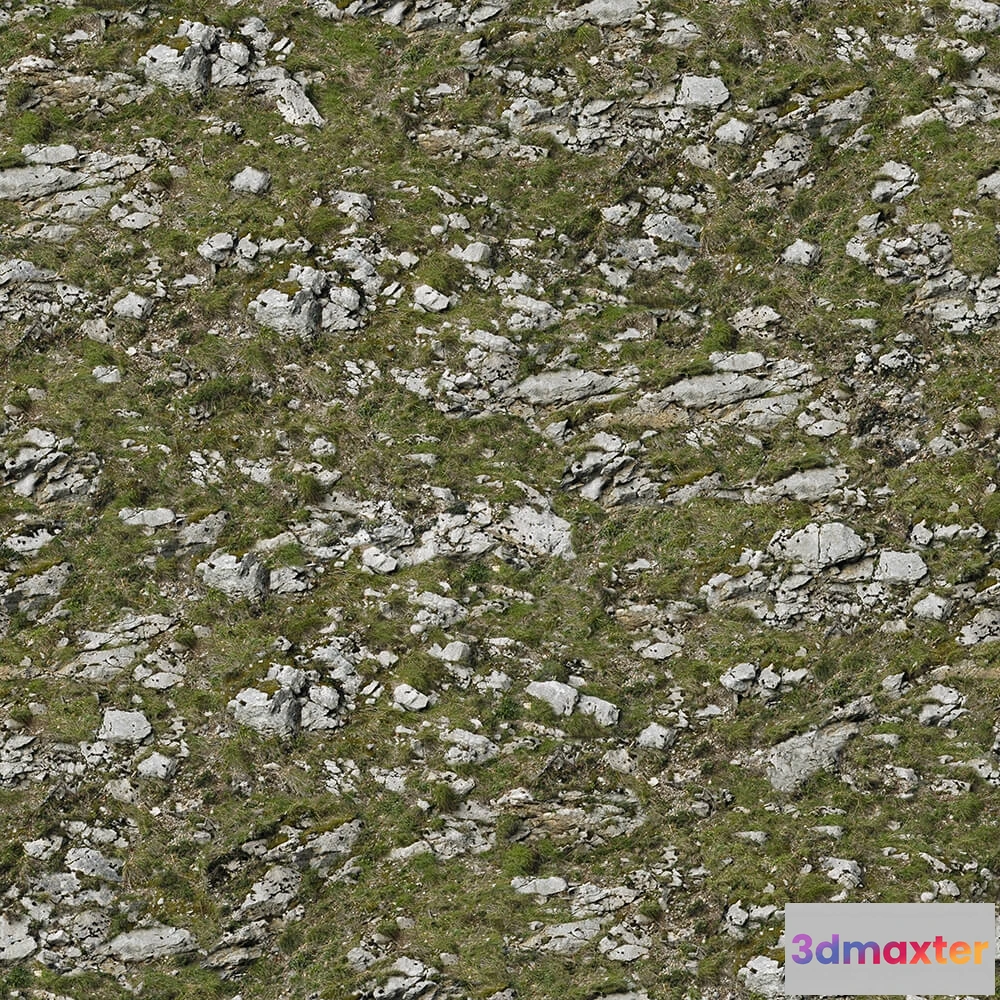 1673564 - textures - Organic 11 3D Max
