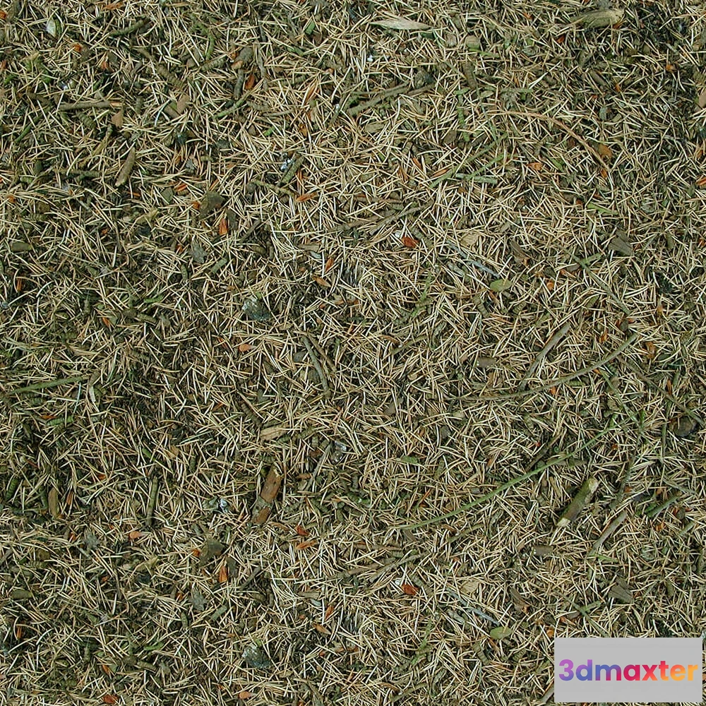 1673566 - textures - Organic 21 3D Max