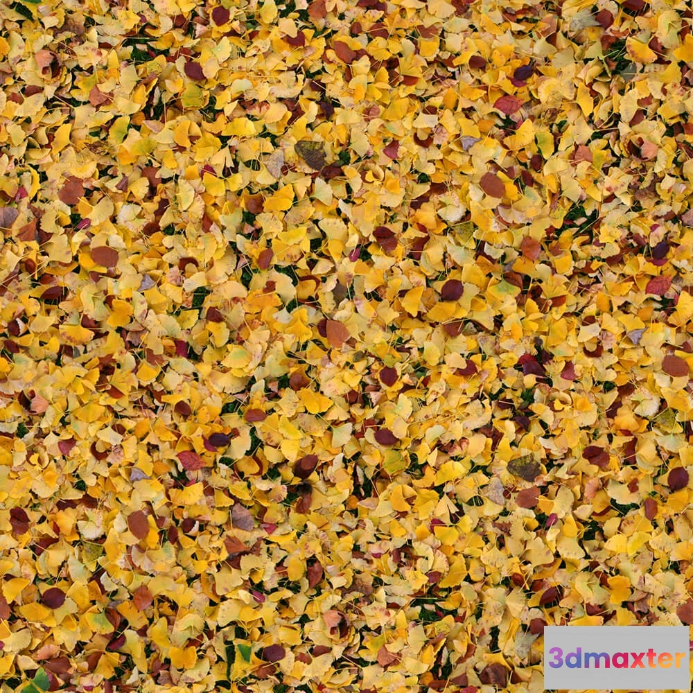 1673578 - textures - Organic 24 3D Max