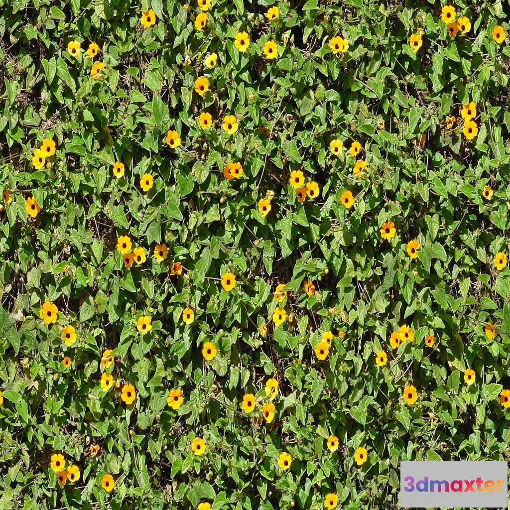 1673580 - textures - Organic 5 3D Max