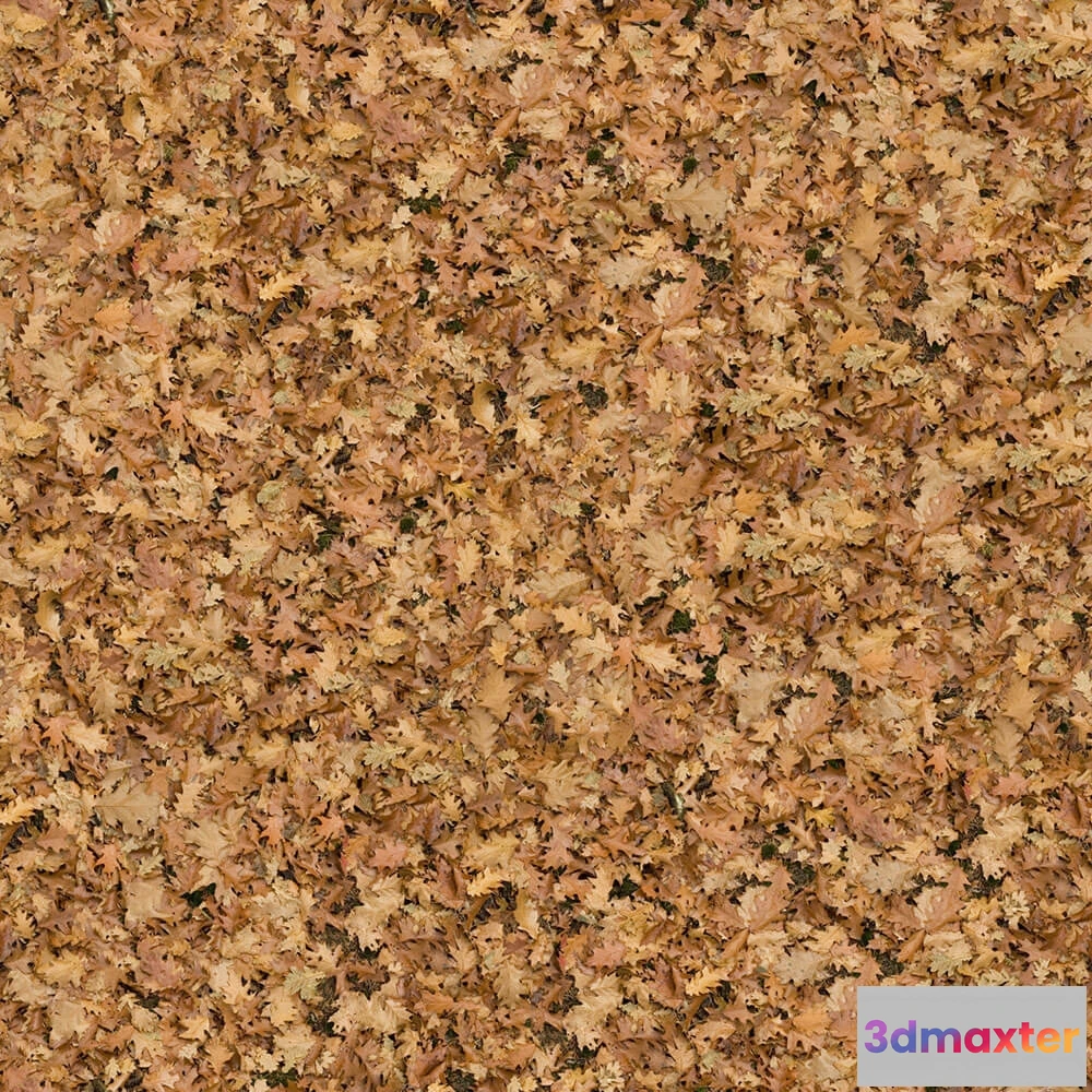 1673582 - textures - Organic 1 3D Max