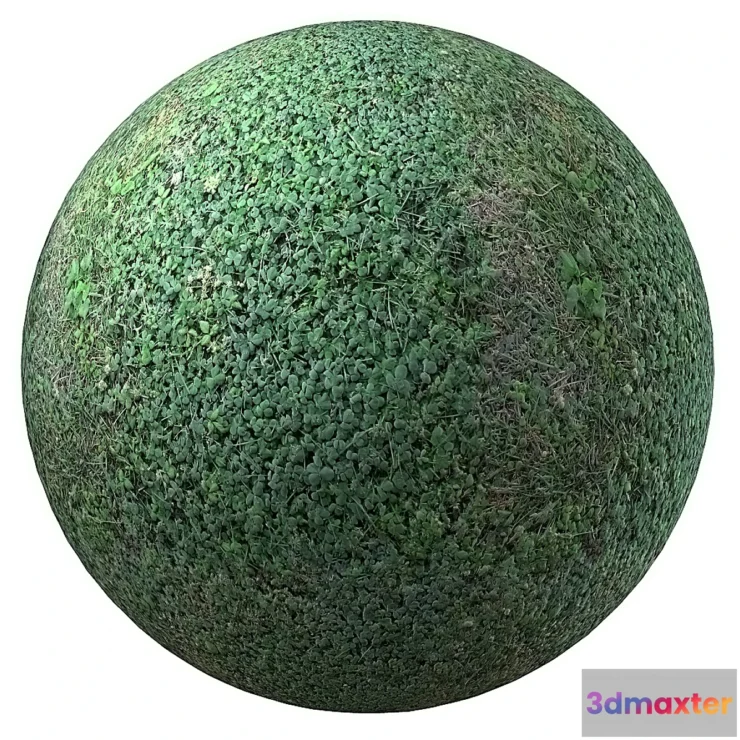 778807 - grass - No.4