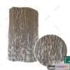 1149364 - MATERIAL - TEXTURES - ORGANIC WOOD - 0010