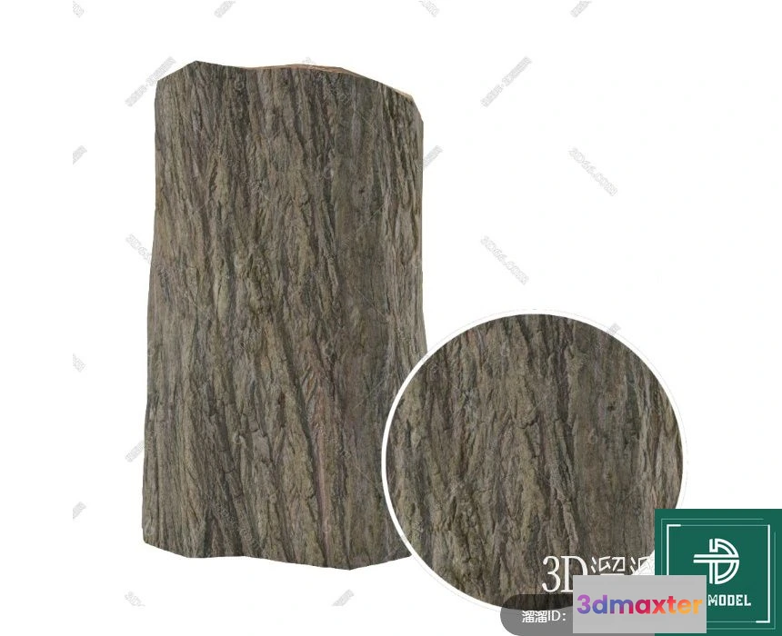 1149394 - MATERIAL - TEXTURES - ORGANIC WOOD - 0025