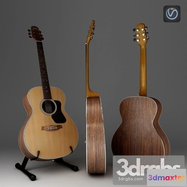 1005614 - Guitar Walden Natura G730