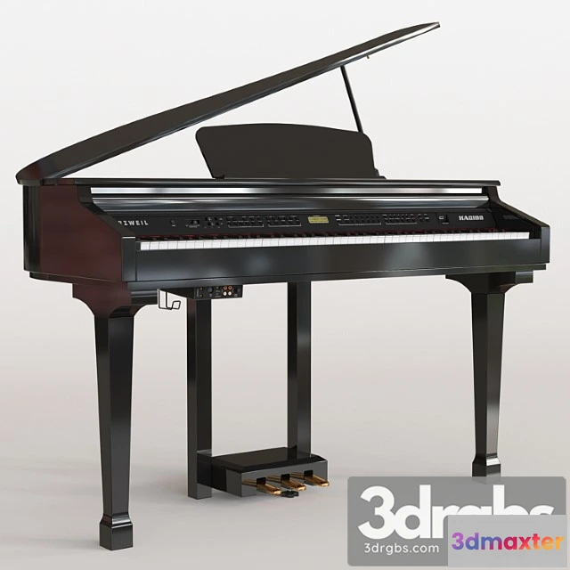 1005630 - Kurzweil KAG100